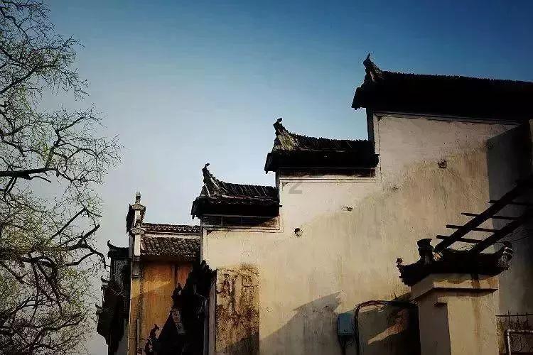 次元喵